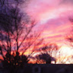 Meet your Posher, Mackenzie